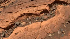 Marte revelou-se mais «vivo» do que se pensava: nova descoberta dos cientistas