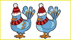 Apenas 30% das pessoas conseguem encontrar as 5 diferenças em 10 segundos