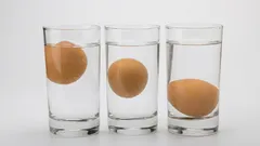 Não coma ovos estragados: este teste de 10 segundos permite verificar se estão frescos