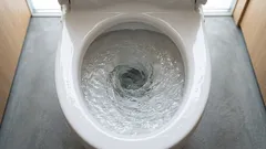 Os micróbios da sanita acabam por se depositar até na sua escova de dentes – eis o que deve fazer para evitar isso