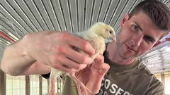 Um banqueiro de 27 anos abdicou de um salário de 150 000 dólares e partiu para criar galinhas — e eis o motivo