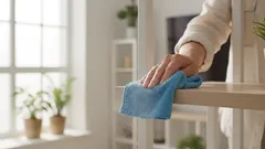 O pó desaparece por si só: um truque simples com um saco de plástico que os profissionais de limpeza não revelam